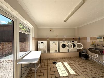 Picture 7